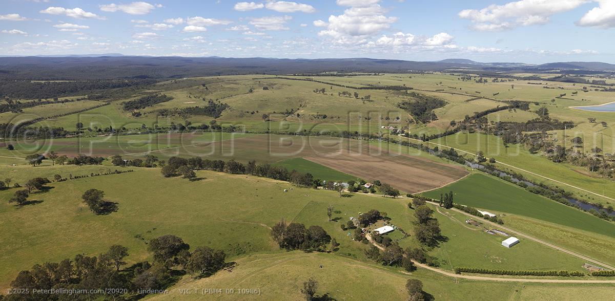 Peter Bellingham Photography Lindenow - VIC T (PBH4 00 10986)